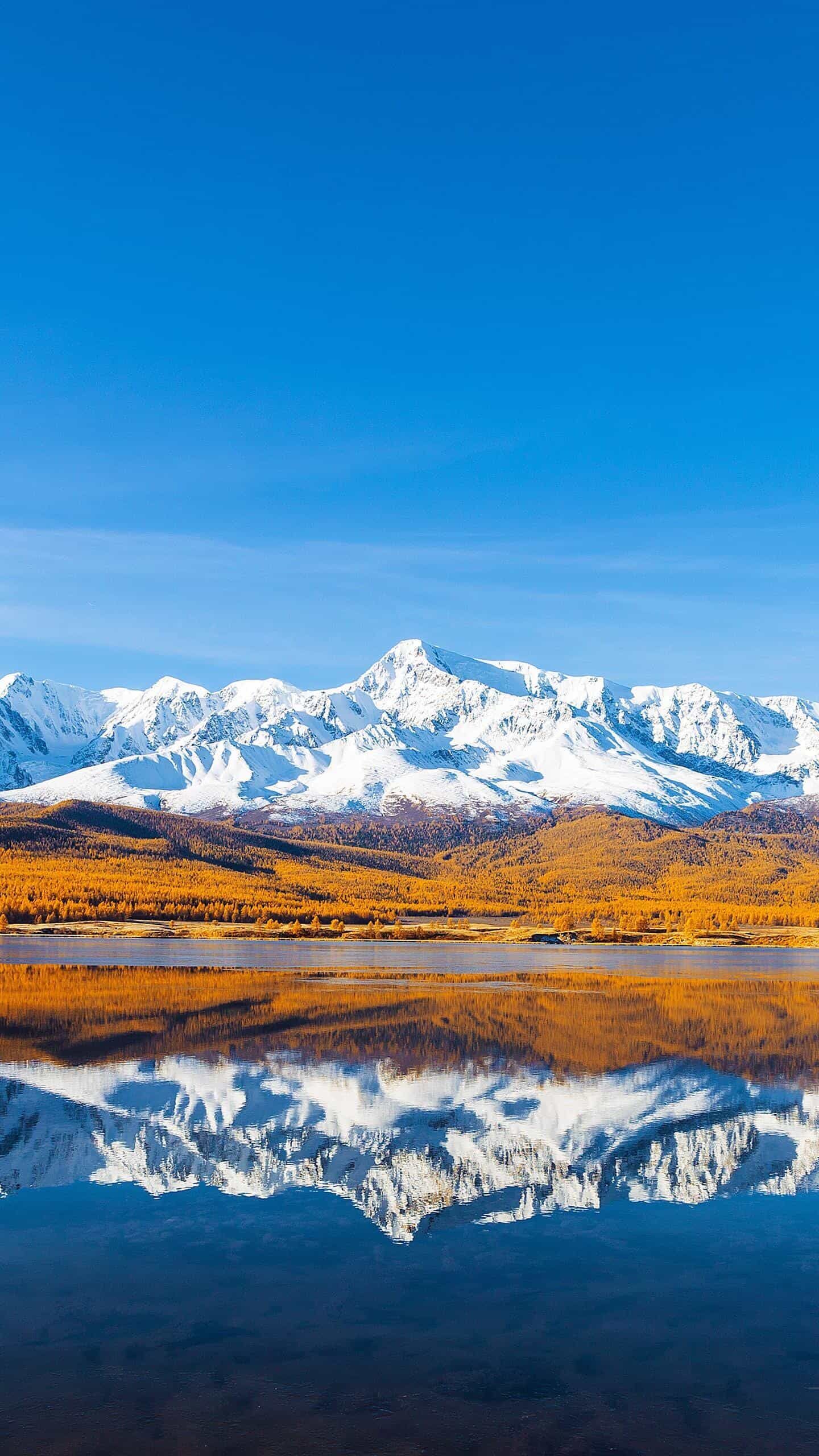 《不止于送达：揭秘让客户主动点赞的邮件服务器，如何用极致服务赢得人心》
